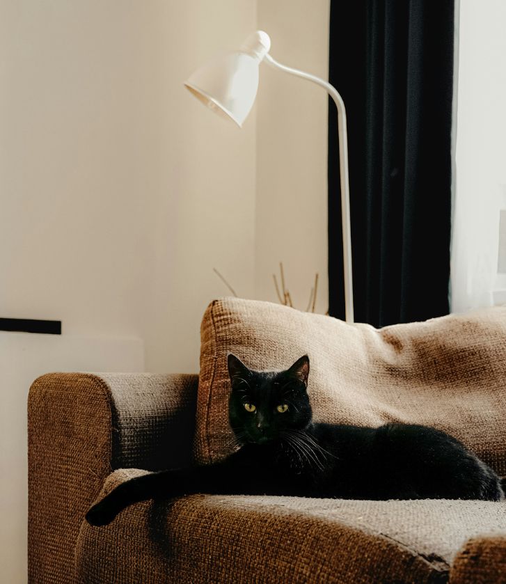 Architecte maitrise ouvrage paris